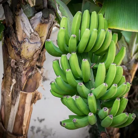 Relaxing Heated Pool Luxurious Views Massage Villa *